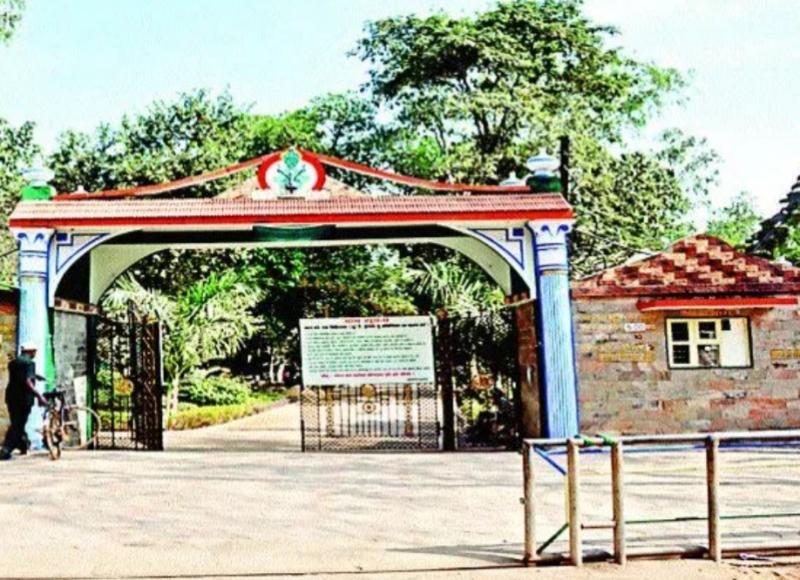 Major changes in the operation of Nandanvan coming soon; Forest Department to issue tender shortly. Hindi news latest news khabargali 