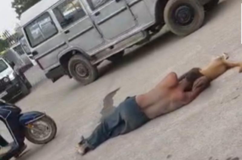 Pet dog dies in Raigarh; owner weeps inconsolably while clinging to the body in the middle of the road. Latest News hindi news khabargali 