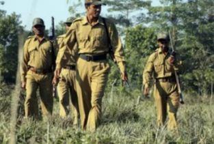Path cleared for forest guard recruitment in Chhattisgarh; written exam for 1,484 posts on December 13, with 16,762 candidates set to appear. राइ-raipur chhattisgarh hindi news khabargali 