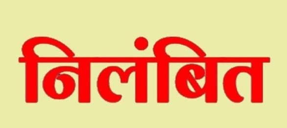 5 Patwaris suspended in Chhattisgarh SDM takes action over negligence in revenue related work Latest news Hindi News khabargali 